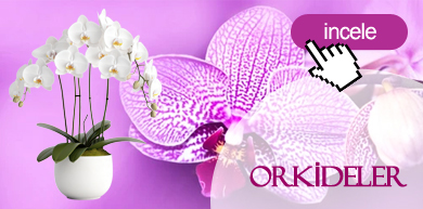 Pendik Klas Çiçekçilik